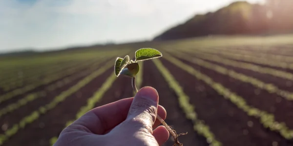 dealmaker-q-a-baden-capital-agriculture-acquisition